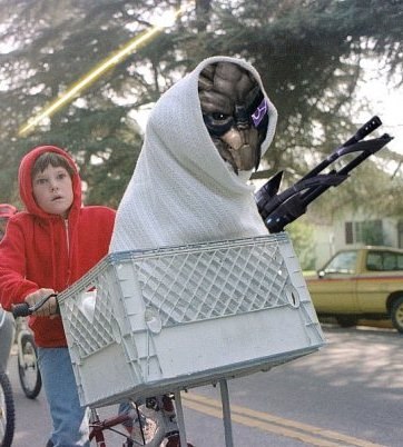 Никита Сорокин | Санкт-Петербург