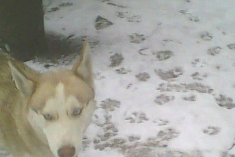 Тёма Михайлец | Кривой Рог