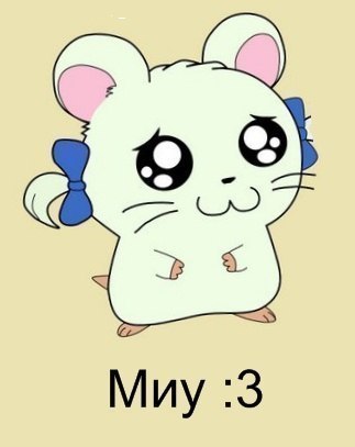 Владимир Кривцов | Санкт-Петербург