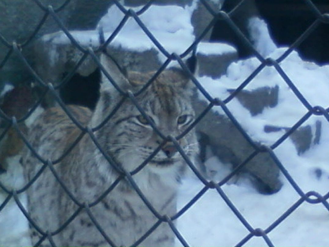 Фархат Байрамов | Москва