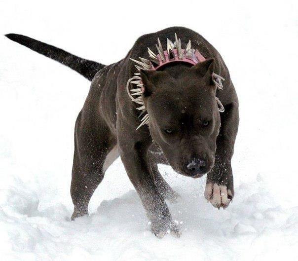 Марк Рылев | Санкт-Петербург