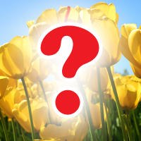 Ивана Иванова | 