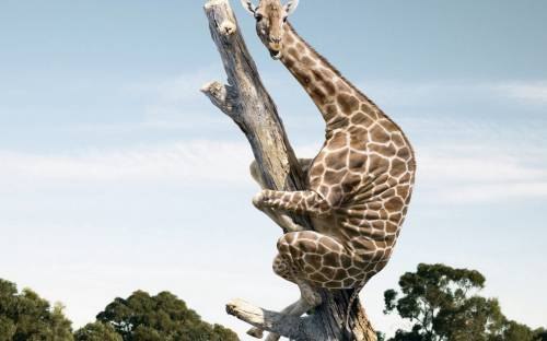 №27, Марина Водопьянова, Уфа, Россия №27, Марина Водопьянова, Уфа, Россия