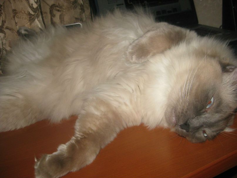 Ирина Кустрина | Новосибирск