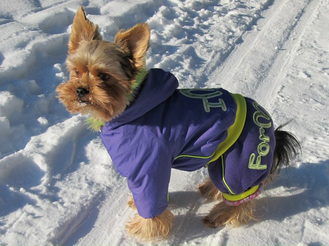 Костя Щербинский | Минск