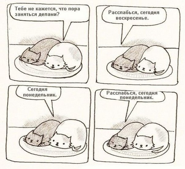 №61, Антон Снигур, Днепр (Днепропетровск) №61, Антон Снигур, Днепр (Днепропетровск)