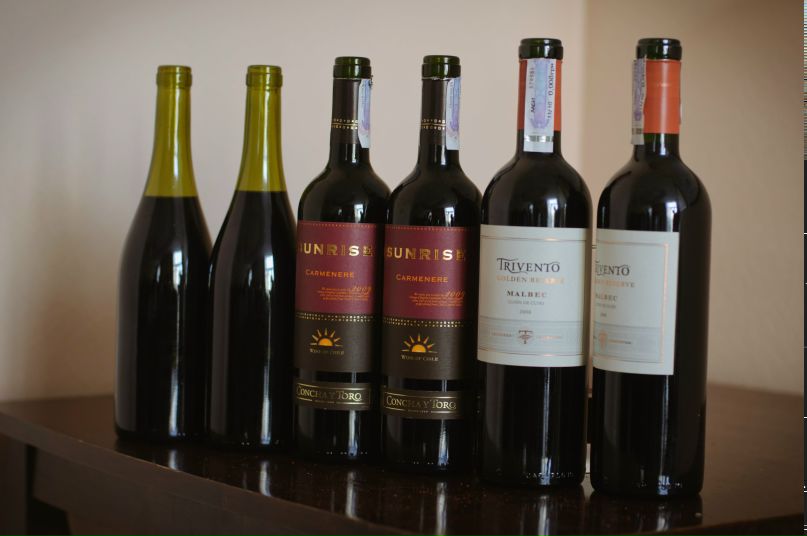 Дарина Зырянова | Ужгород