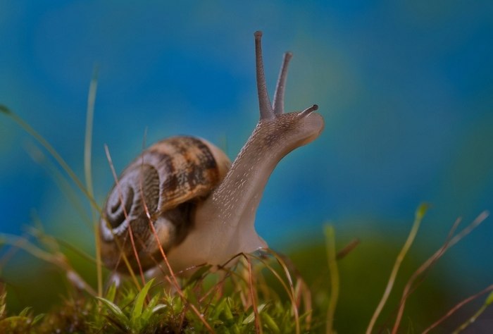 Игорь Павленко | Ростов-на-Дону