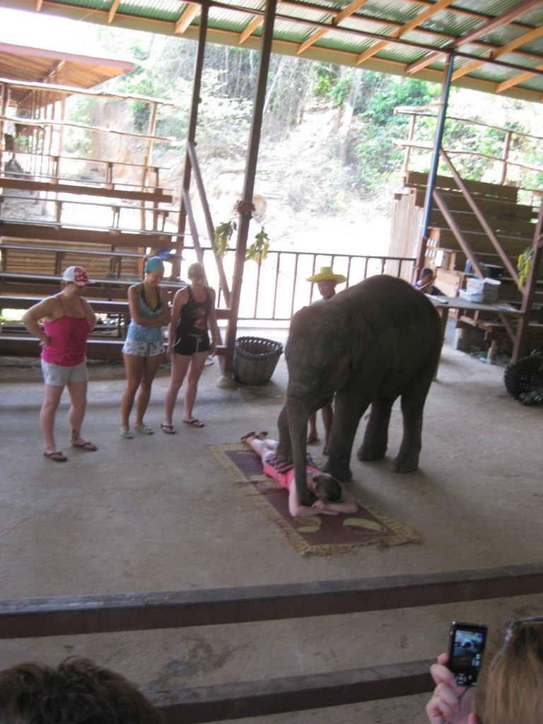 Диана Одинцова | Барнаул