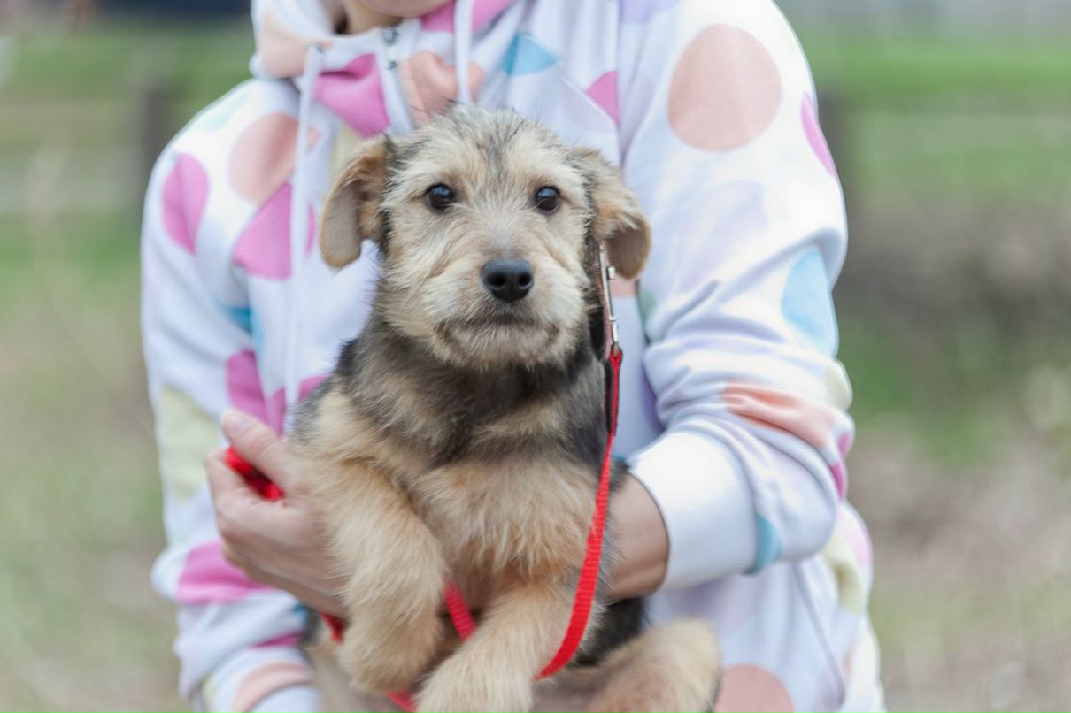 Татьяна Кривенко | Киев