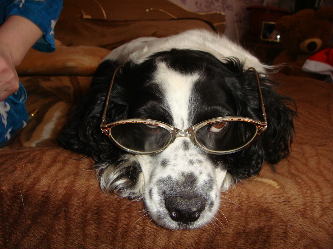 Анастасия Гуленко | 