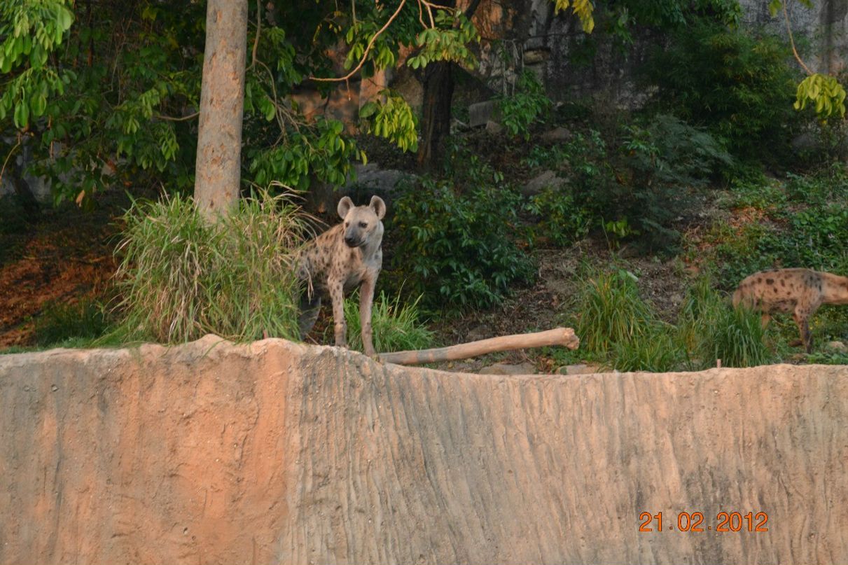 Наталья Зыкова | Новокузнецк