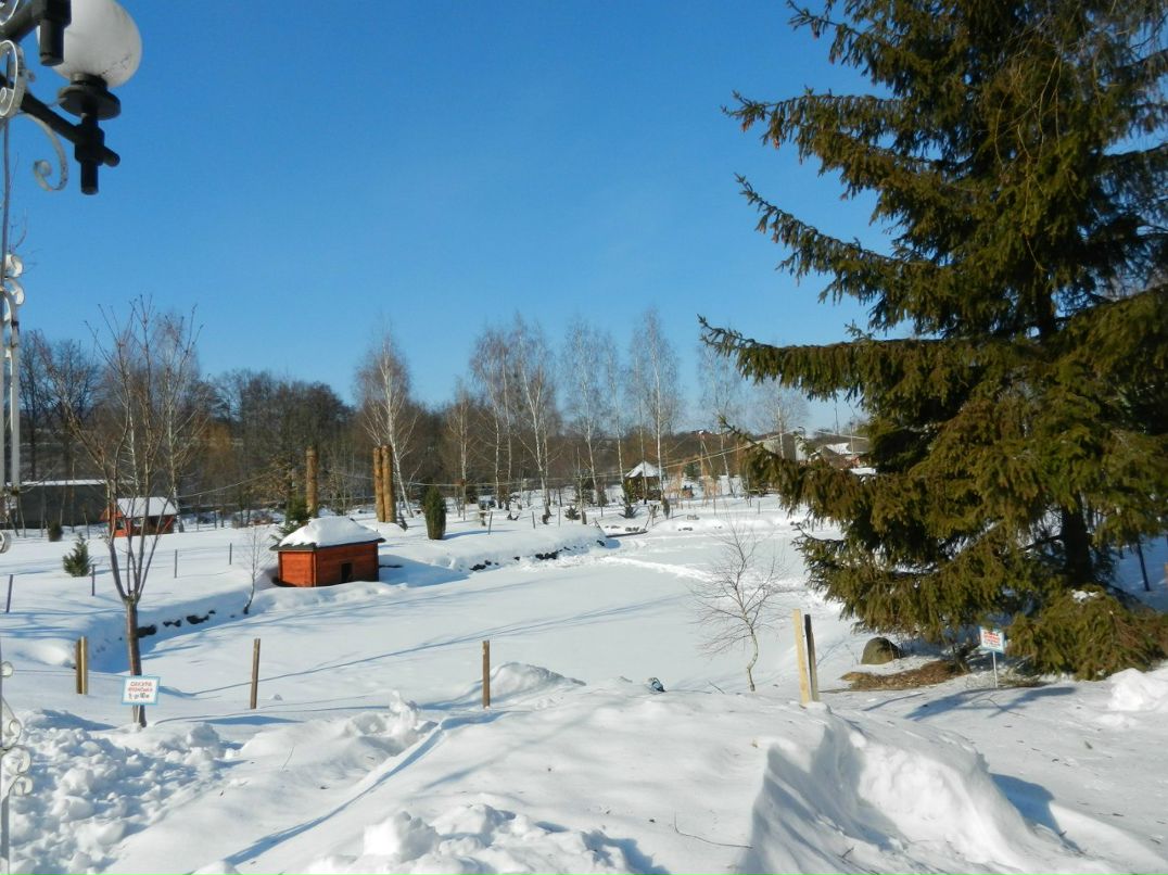 Татьяна Федко | Чернигов