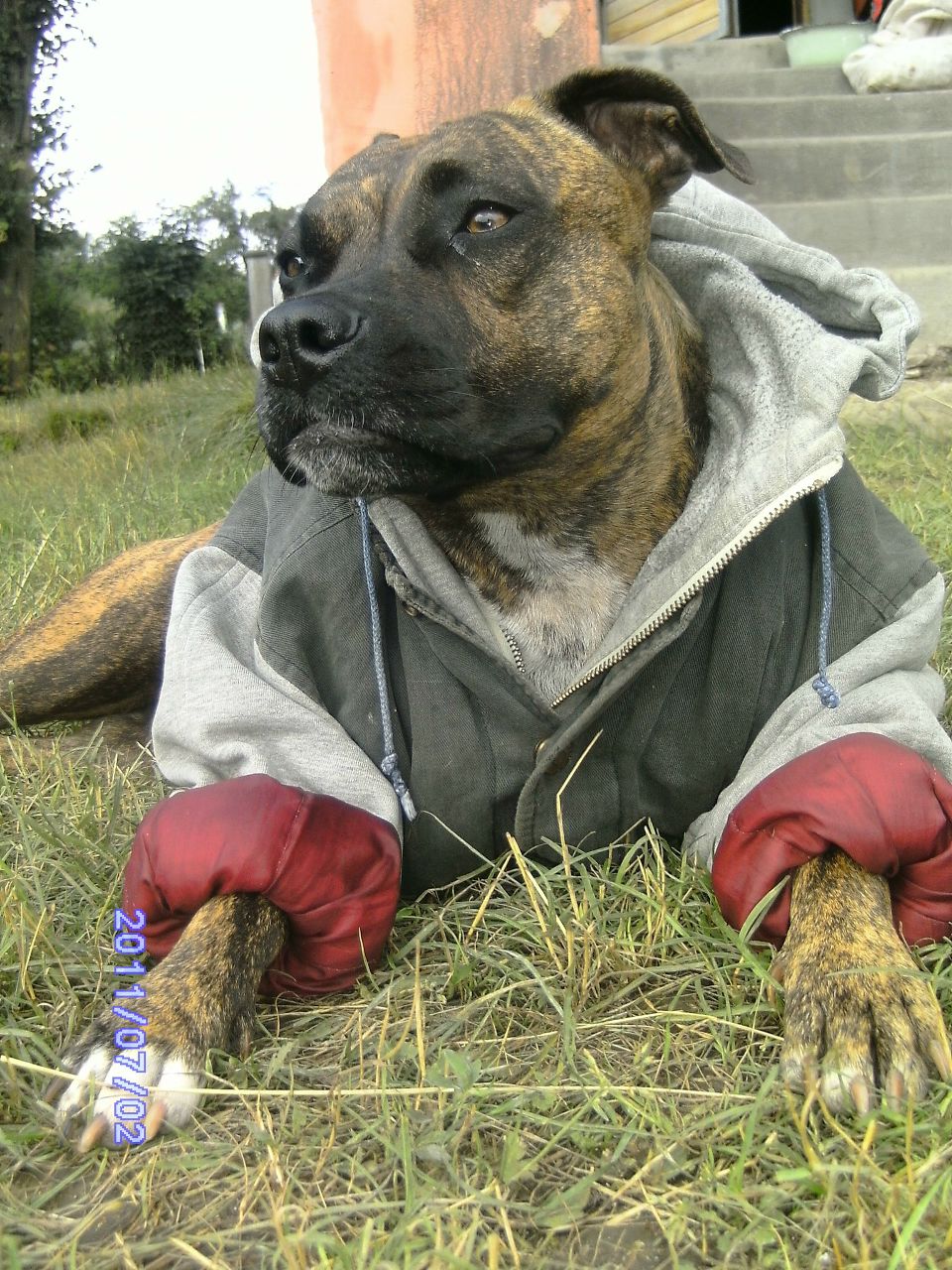 Руслан Кльоз | Львов