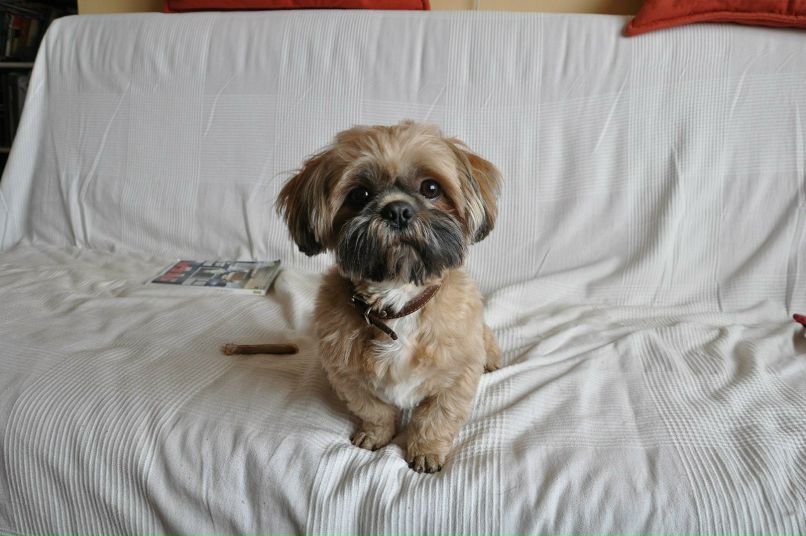 Алёна Гревцева | Москва