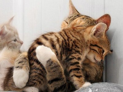 Таня Петренко | Киев