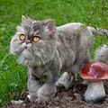Татьяна Жернакова