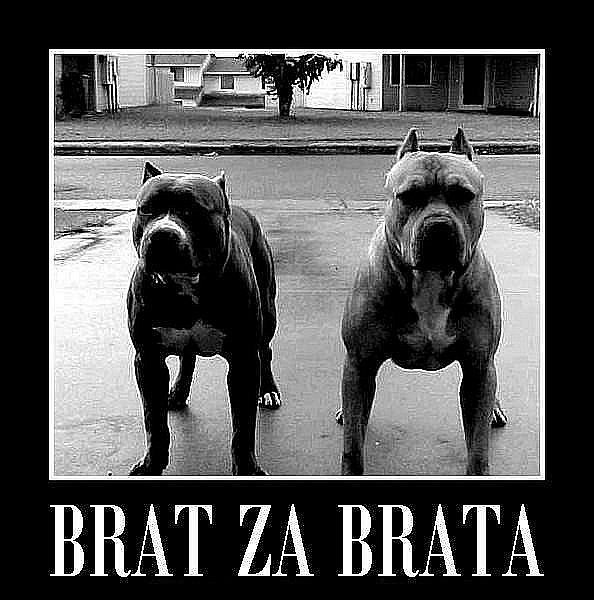 Стас Арефьев | Кривой Рог