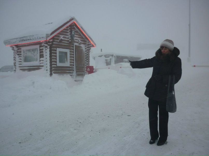 Виталий Новиченков | Гатчина