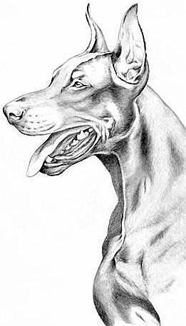 №24, Алексей Полтавец, 38 лет, Отрадный №24, Алексей Полтавец, 38 лет, Отрадный