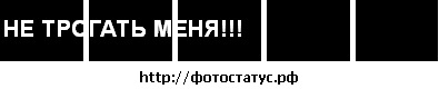 Денис Лилицкий фото со стены #21