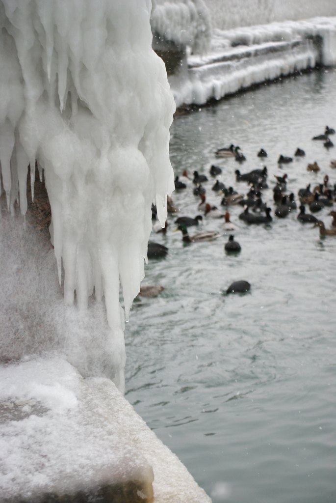 Андрей Макеев *drue* | Краснодар