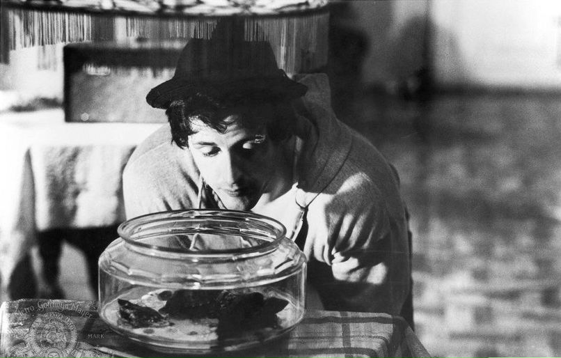 Арина Кузьмина | Сергиев Посад