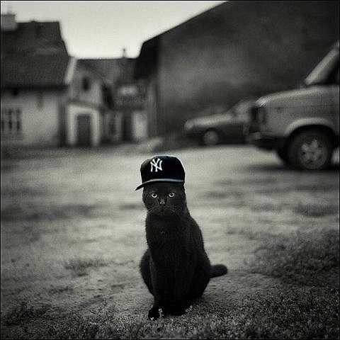 Dennis Davidoff Moco | Минск