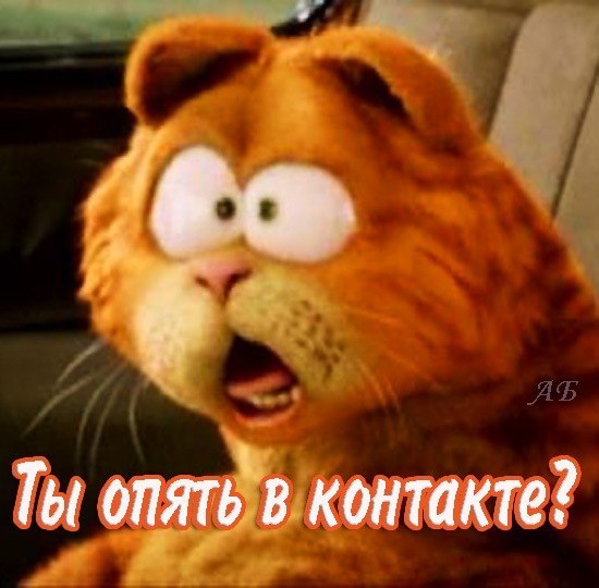 Влад Панченко | Запорожье