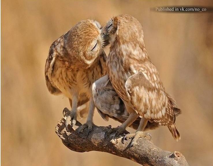 Валентин Русанов | Харьков