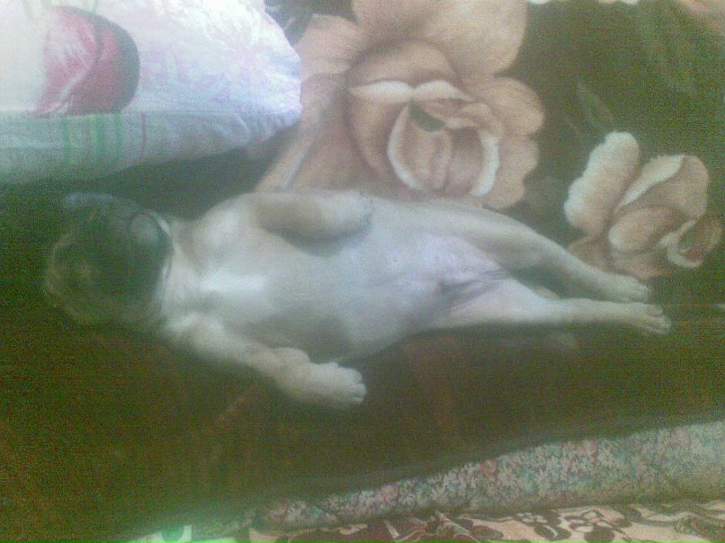 Тимур Ибраимов Рустемович | Анапа