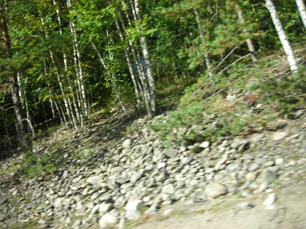 №128, Надежда Григорьева, 14.06.1954, Всеволожск №128, Надежда Григорьева, 14.06.1954, Всеволожск