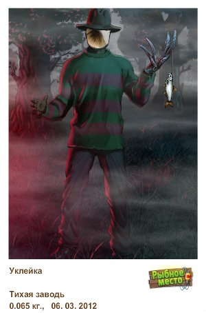 Mariya Maley | Новоград-Волынский