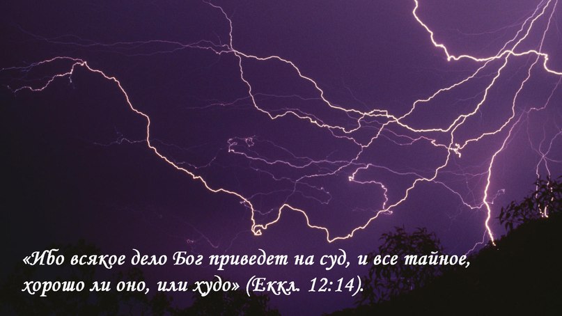 Алексей Сафонов | Абакан