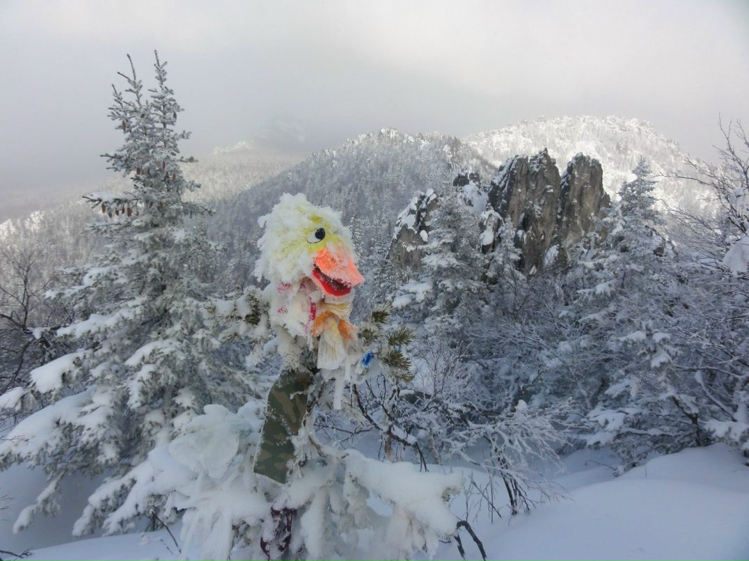 Алексей Настоящий | 