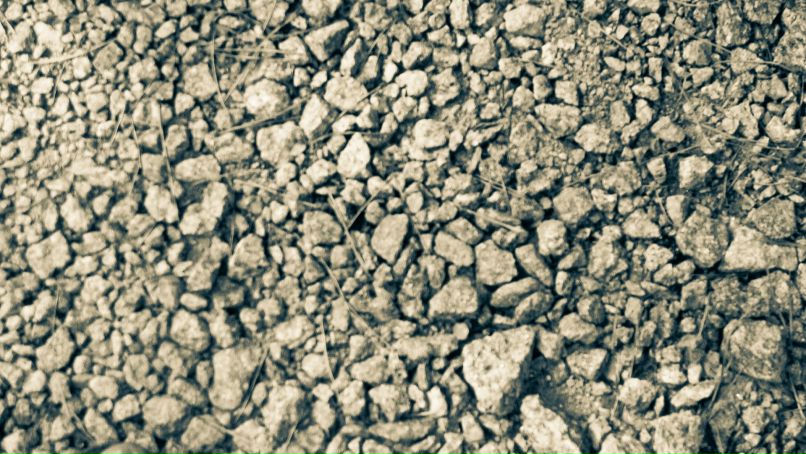 Владимир Шапран | Киев