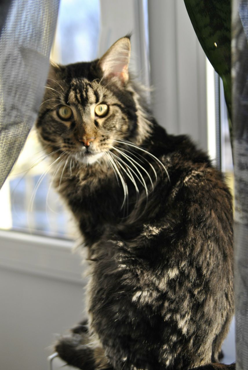 Евгения Седлецкая ❤ i'm ℓo√ﻉ❤ | Калининград