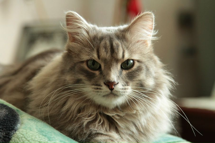 №37, Алексей Мухин, Москва №37, Алексей Мухин, Москва