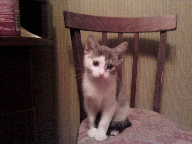 Полина Козлова | Санкт-Петербург