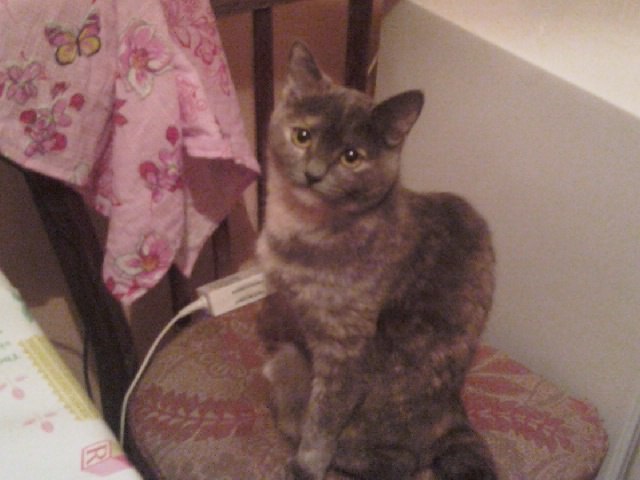 Полина Козлова | Санкт-Петербург