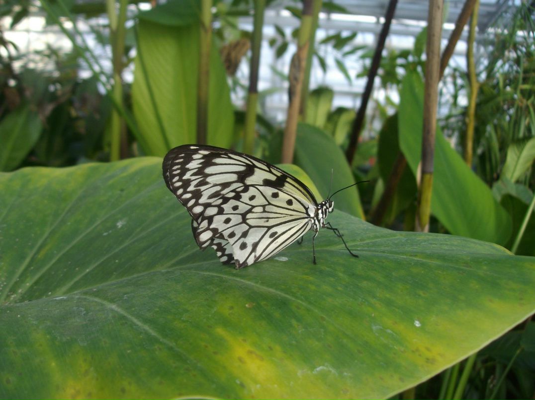 Галина Дудинова | München