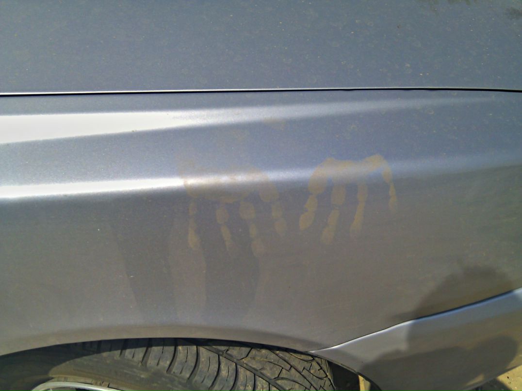 Александр Сергеев | Краснодар