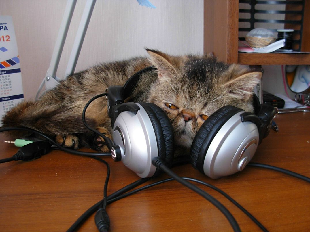 Анастасия Брыскина | Тольятти