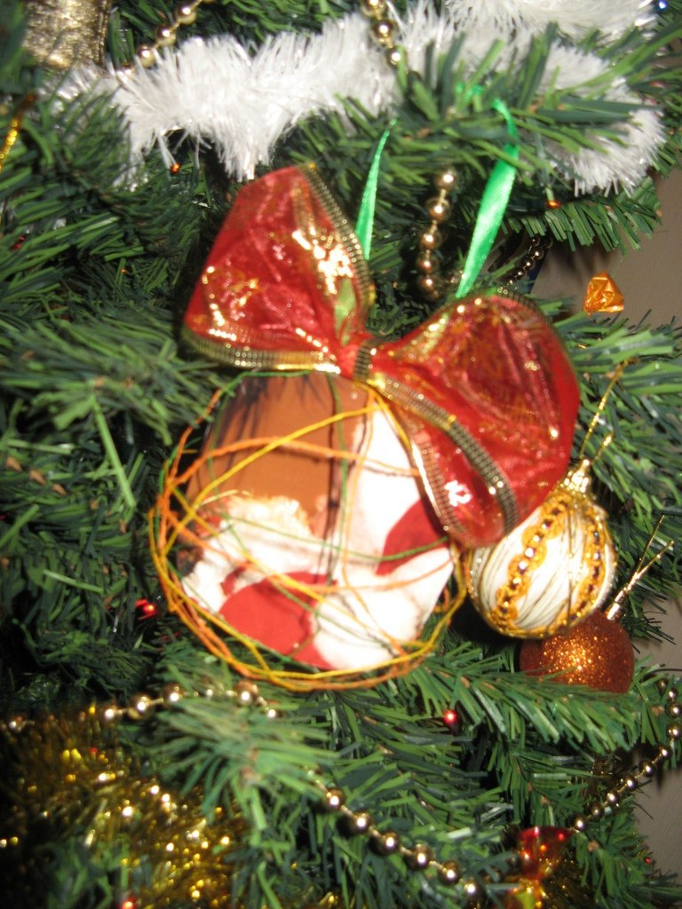 Наташа Колтунова | Киев