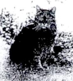 №14, Михаил Эртель, 30 лет, Куйбышев №14, Михаил Эртель, 30 лет, Куйбышев