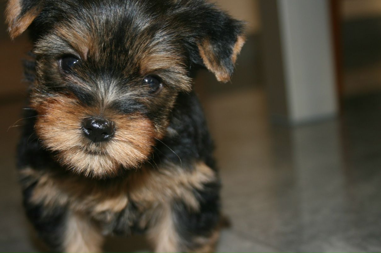 Анютка Задорожная | Киев