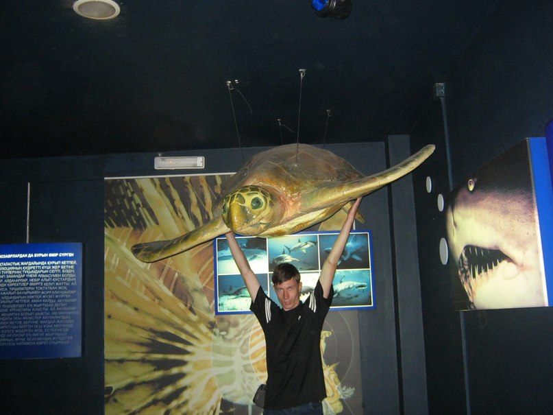 Дмитрий Варганов | Санкт-Петербург