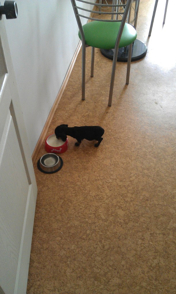 Лена Малявская | Николаев