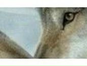 Юлия Экзархо | Мариуполь