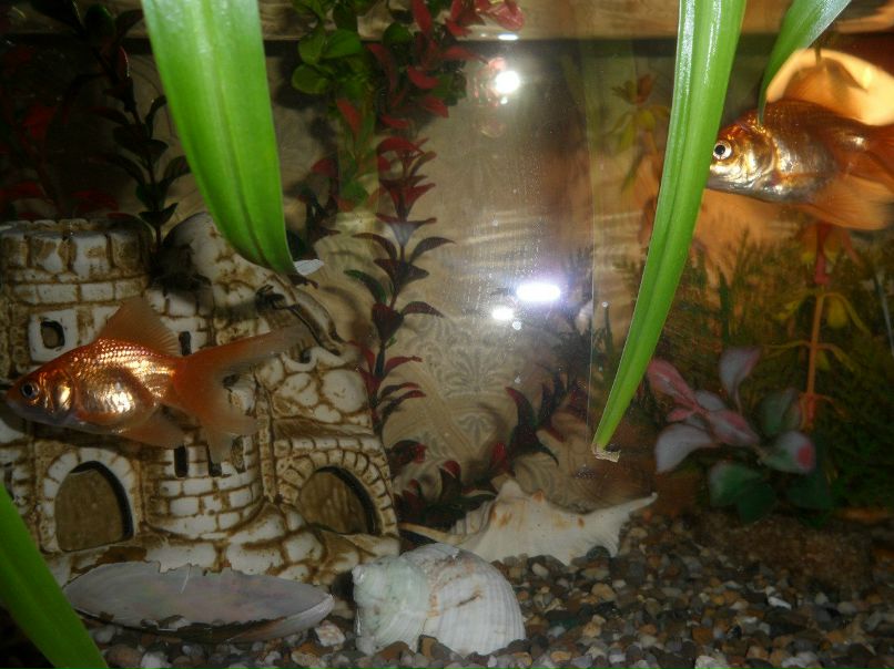 Наталья Самакова | Санкт-Петербург